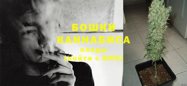 хмурый Елизово