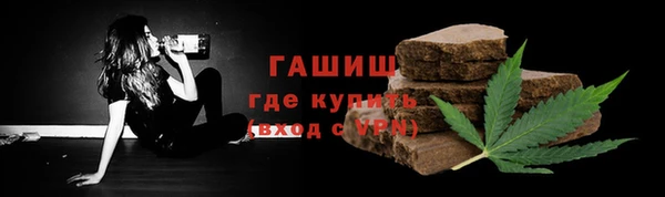 хмурый Елизово