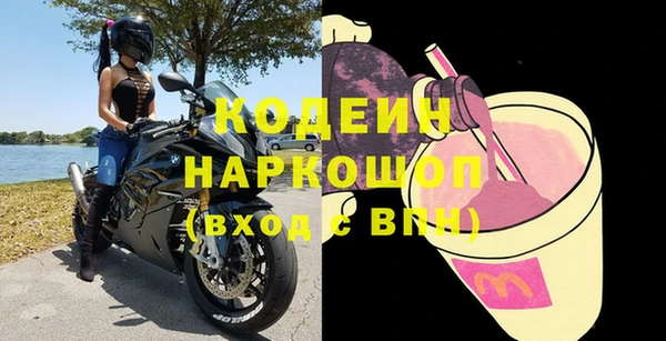 хмурый Елизово